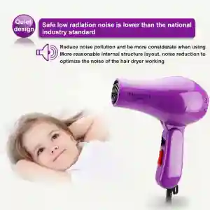 NV-838 HAIR DRYER