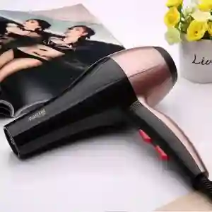 GM-1766 HAIR DRYER