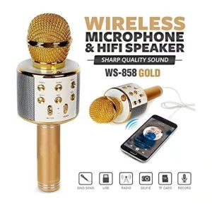 WS-858 Karaoke Microphone.
